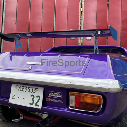 ヨーロッパ 真空引き軽量硬質 カーボンウィング